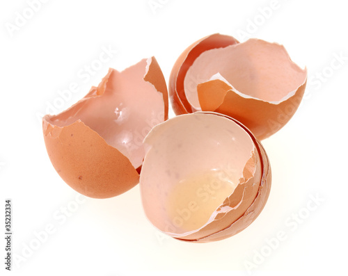 Brown egg shells