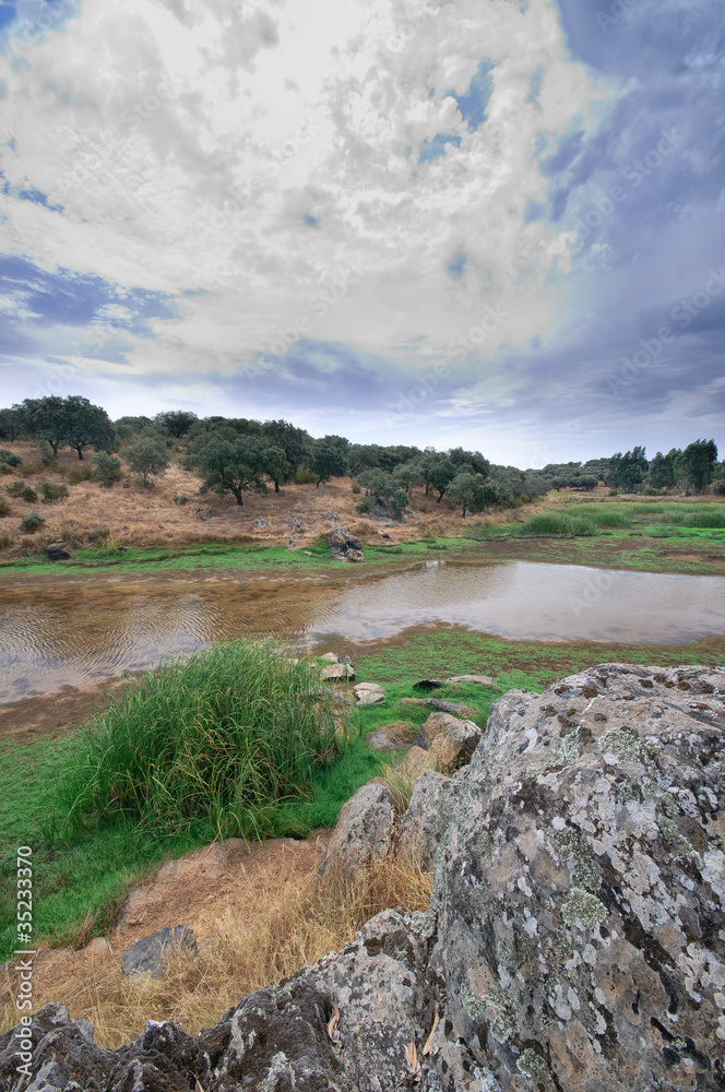 Paisagem campestre