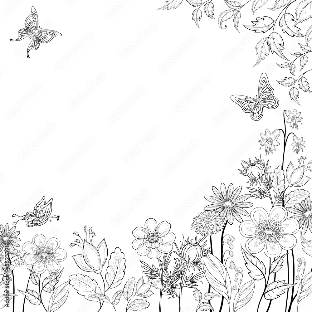 Fototapeta premium Flower background, contours