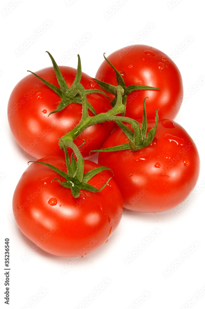 grappe de tomates,