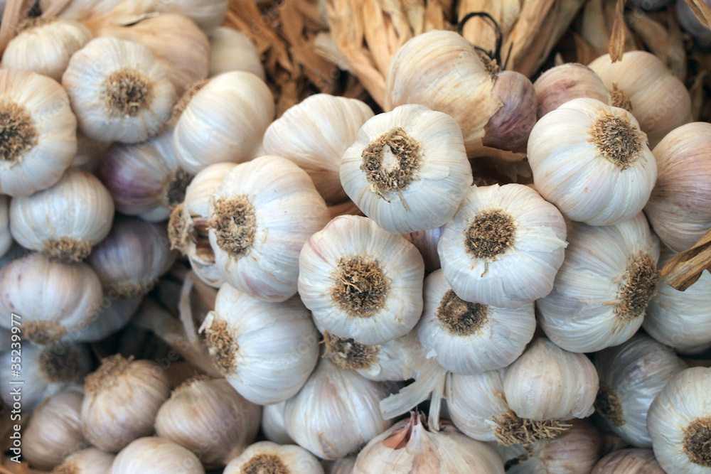 Knoblauchknollen Knoblauchknollen