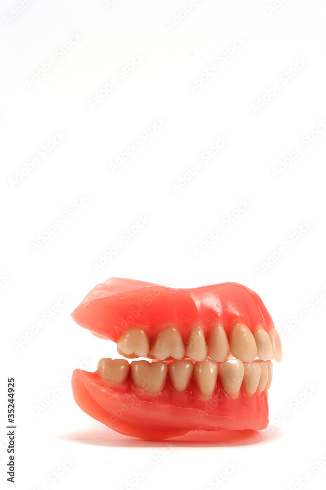 Obraz premium dentiera profilo