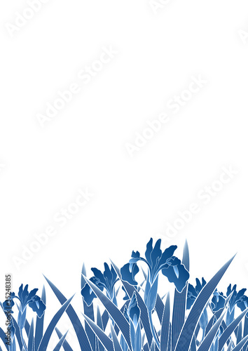 Wallpaper Mural グラフィックパターン Torontodigital.ca