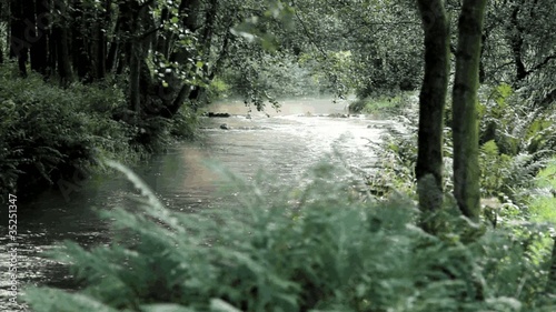 frühmorgens an der Luhe