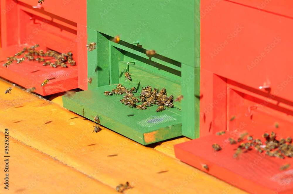 Beehive Beehive
