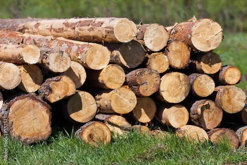 Logs for building