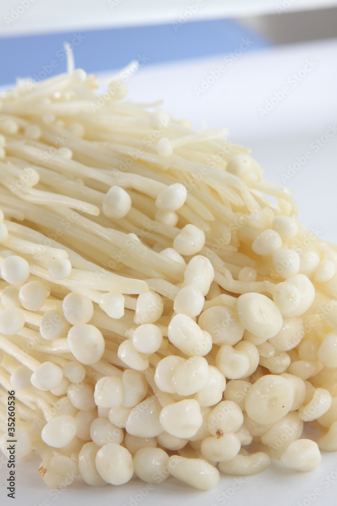 white mushroom white mushroom