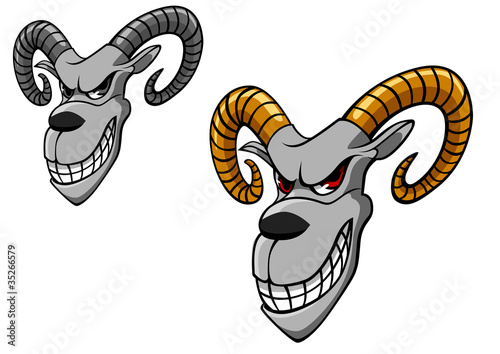 Wild goat