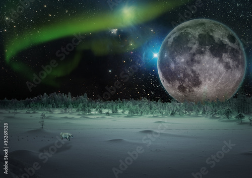 Fototapeta Naklejka Na Ścianę i Meble -  lonely polar bear in fantasy winter with big moon