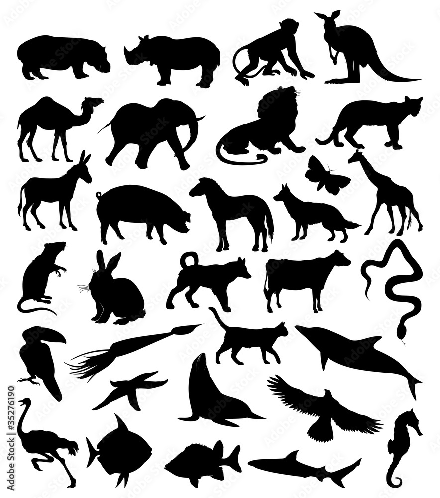 Collection of silhouettes of animals from all continents