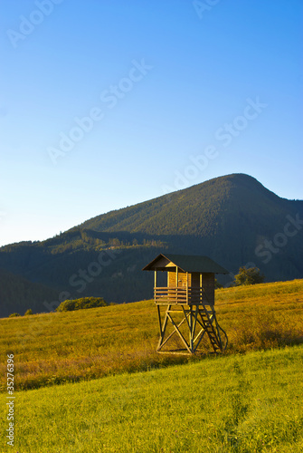 Watch tower on the meadow photo