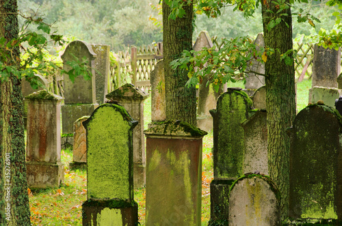 Juedischer Friedhof - jewish cemetary 09 photo