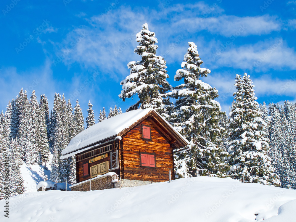 Winter in alps