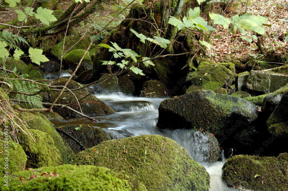 Ruisseau Ruisseau