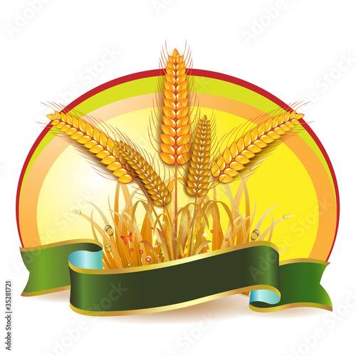 Wheat ears with ribbon