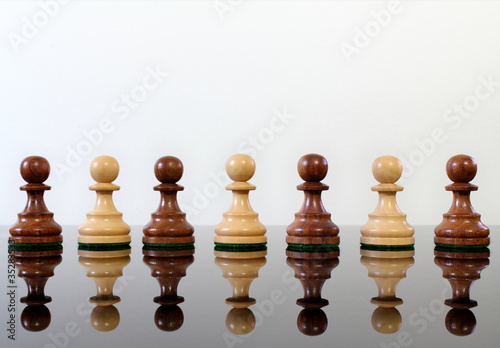 Chess diversity