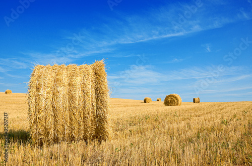 harvested field with straw bales