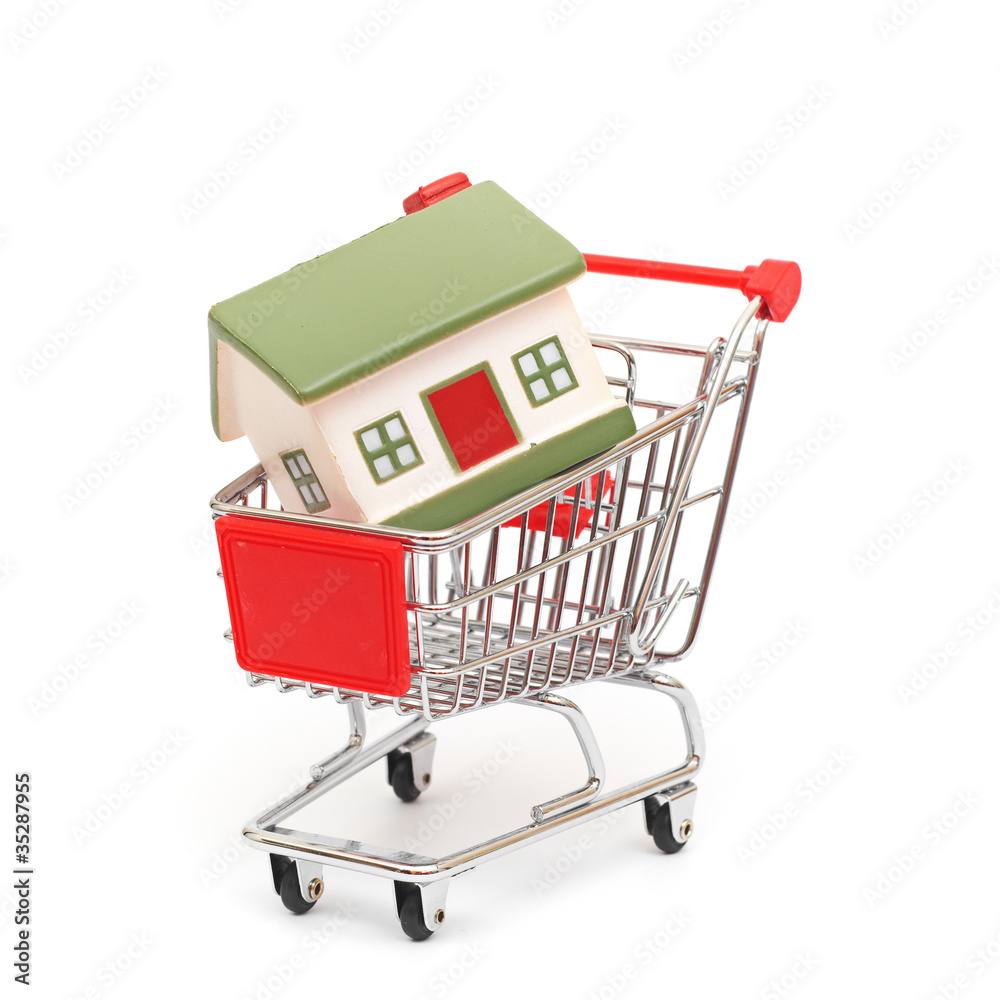 shopping cart trolley with house shopping cart trolley with house