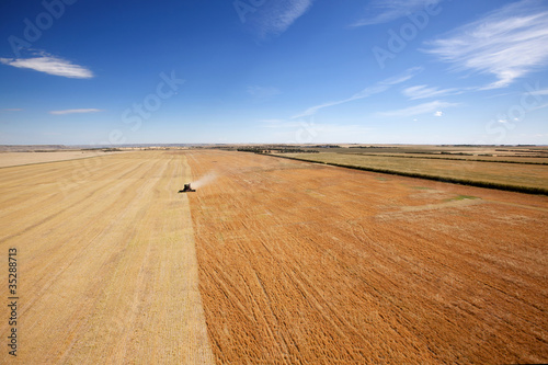 Aerial View of Harvesting