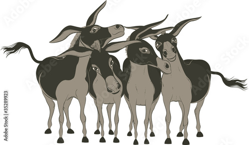 Group of cheerful donkeys over white