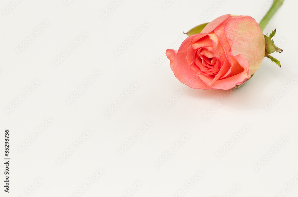 Blank greeting card for valentine Blank greeting card for valentine