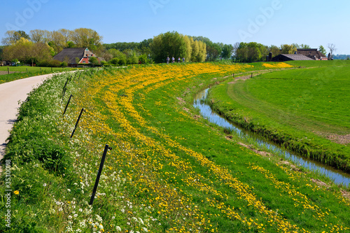 Grassland with farms in the countryside