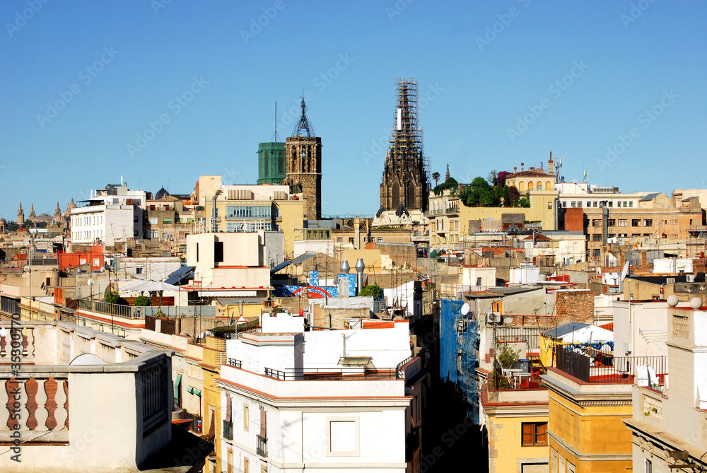 panorama of barcelona with a kind on the cathedral, spain