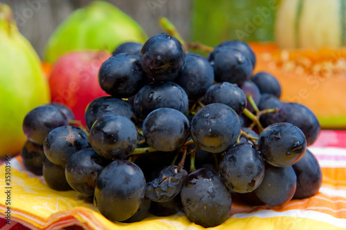 Wallpaper Mural Fresh fruit Torontodigital.ca