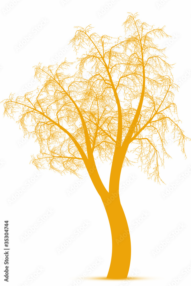 Autumn tree Autumn tree