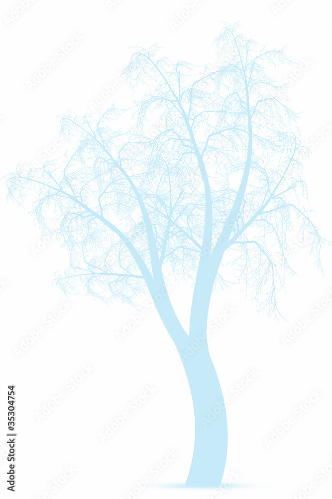 Winter tree