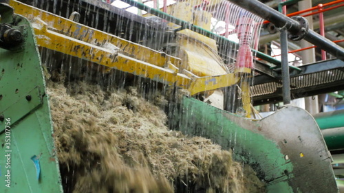 Sugarcane pulp (bagasse) coming out of the mulch machine photo