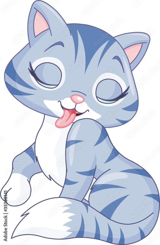 Obraz premium Cute kitten washing itself