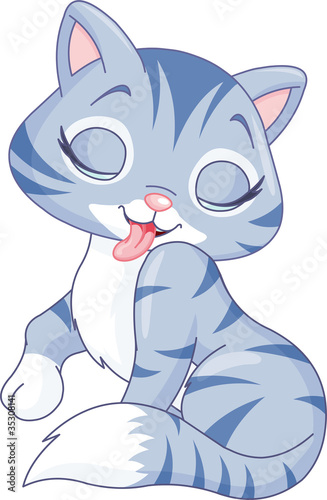 Cute kitten washing itself