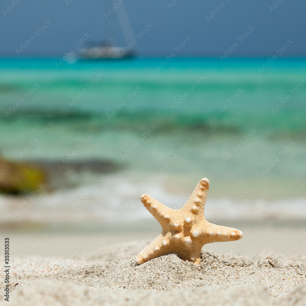 Starfish on the beach with yacht on the background. Starfish on the beach with yacht on the background.