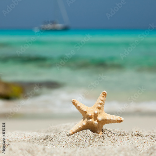 Starfish on the beach with yacht on the background.