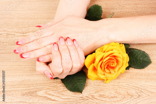beautiful woman's hands and an orange rose