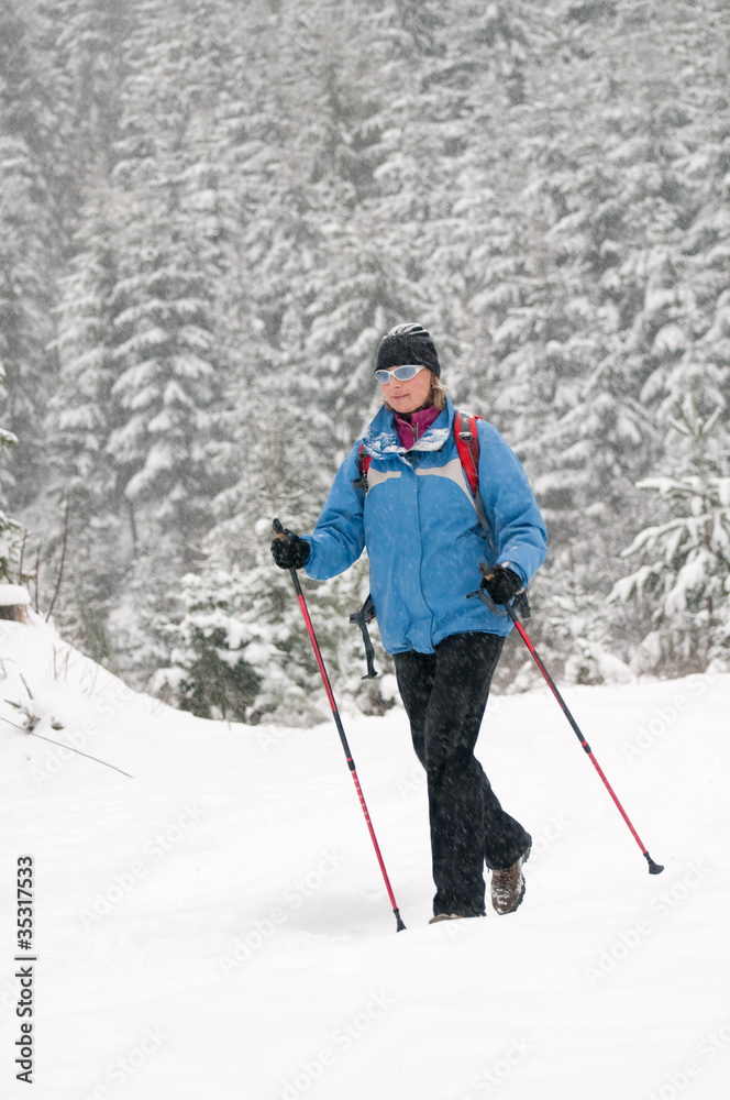 Winter Nordic Walking
