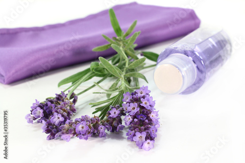 Fototapeta Naklejka Na Ścianę i Meble -  Lavendel