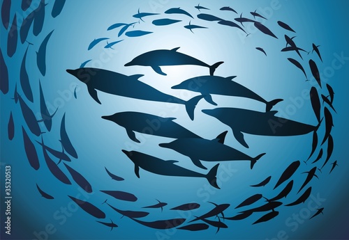 Dolphins