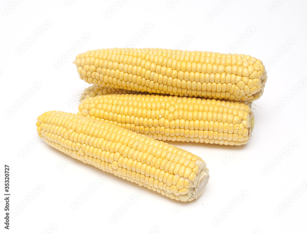 fresh corn on white background fresh corn on white background