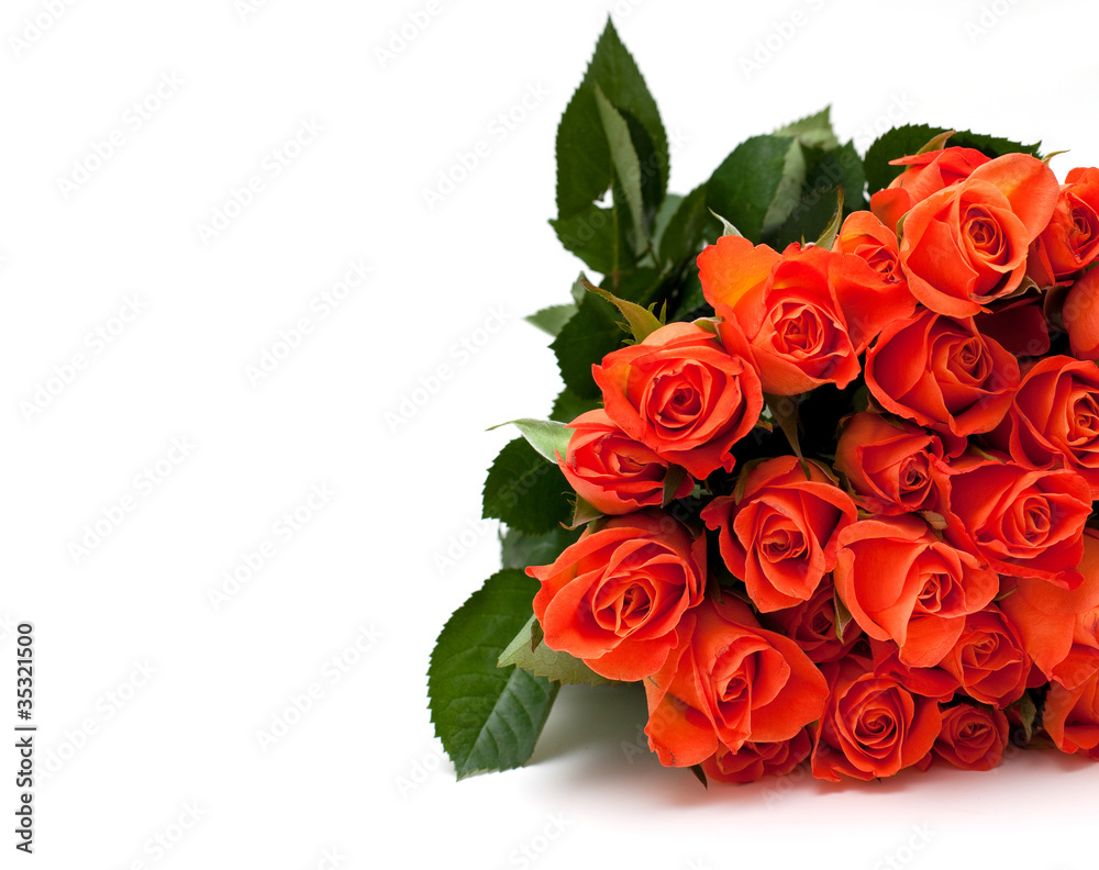 orange roses and empty space for your text