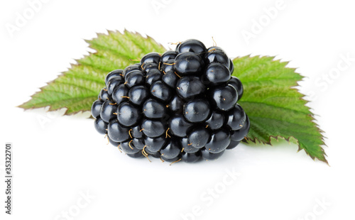 Ripe blackberry fruit