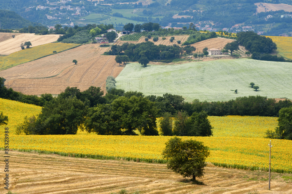 Obraz premium Marches (Italy) - Landscape at summer