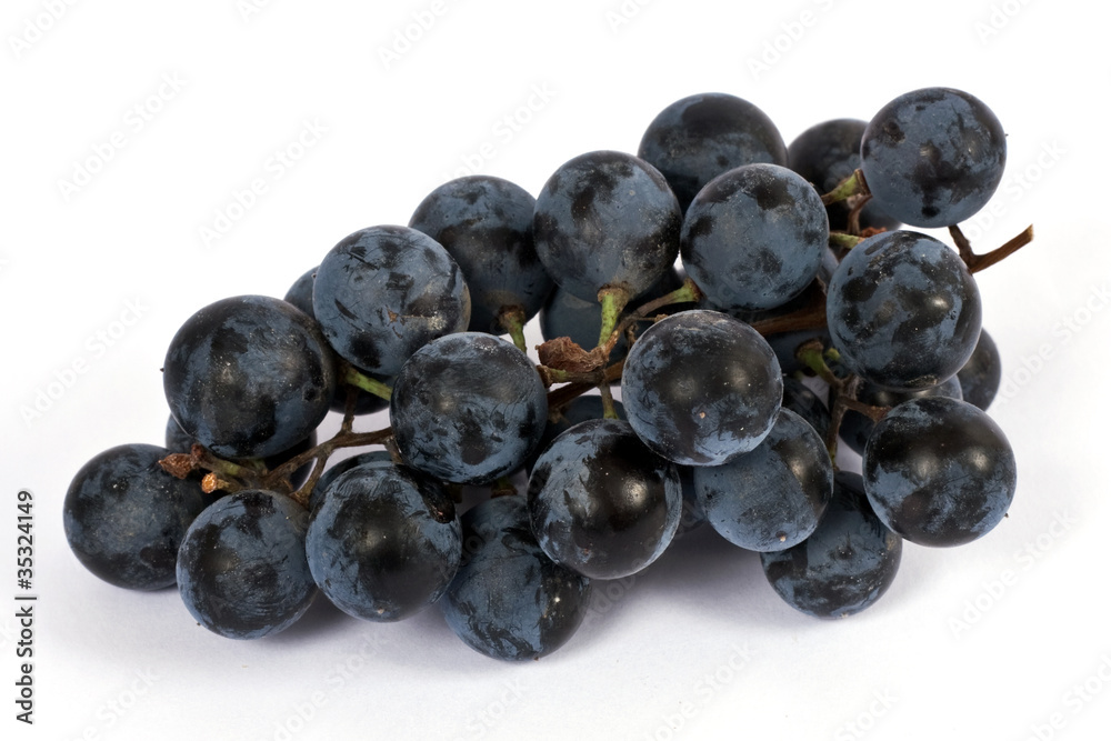 bunch of black grapes. isolated bunch of black grapes. isolated