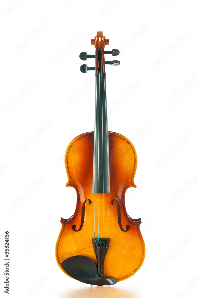 Obraz premium Violin isolated on the white