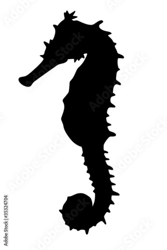 Seepferd