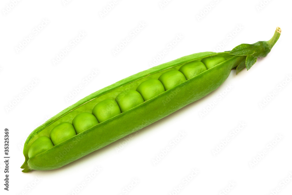 fresh pea pod fresh pea pod