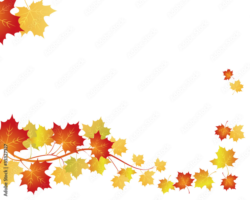 maple background maple background