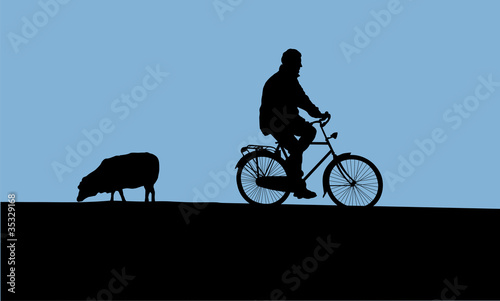 fahrradfahrer auf dem deich mit schaf