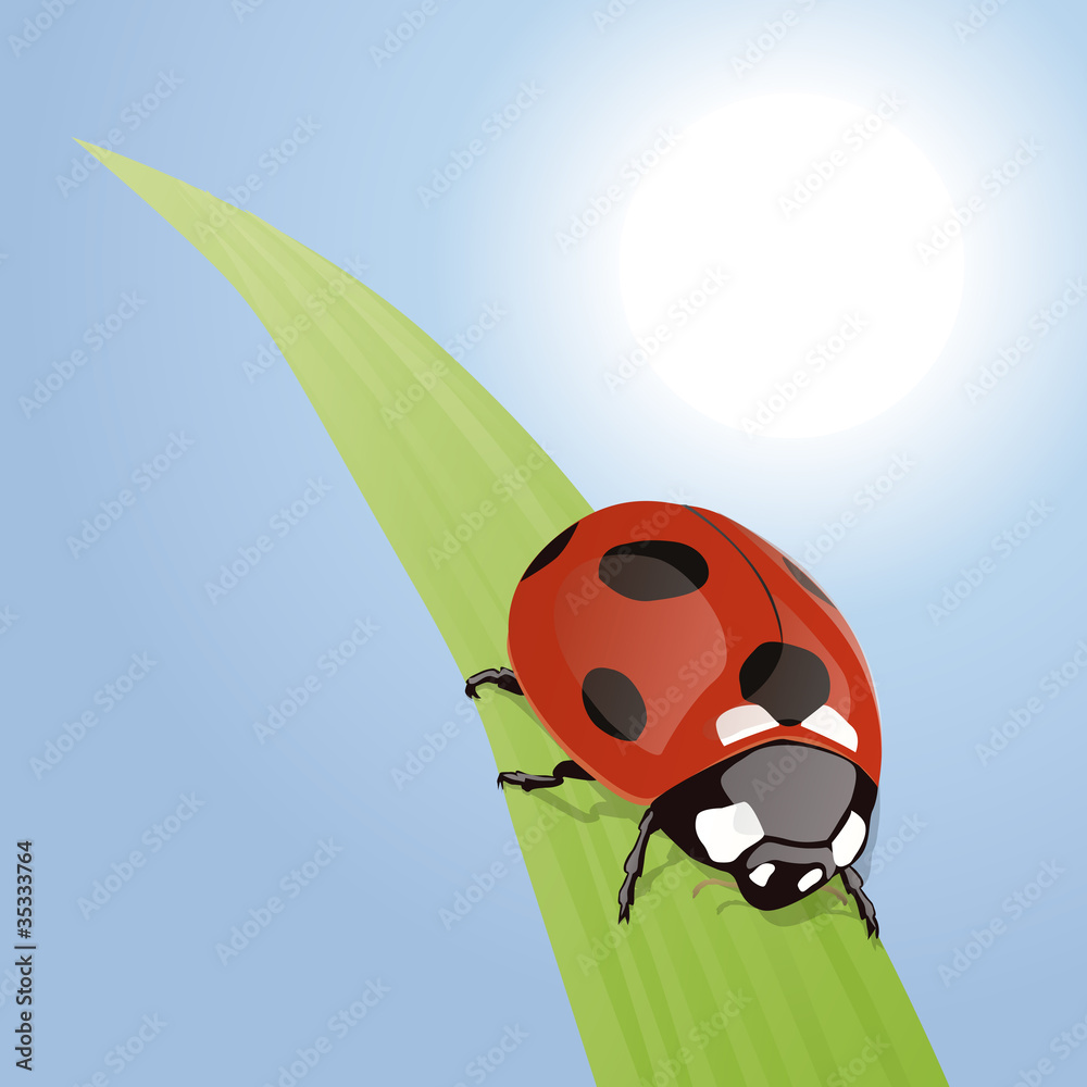 Naklejka premium COCCINELLE_Feuille_Soleil